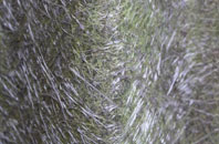 Gleadmoss fibreglass roof work